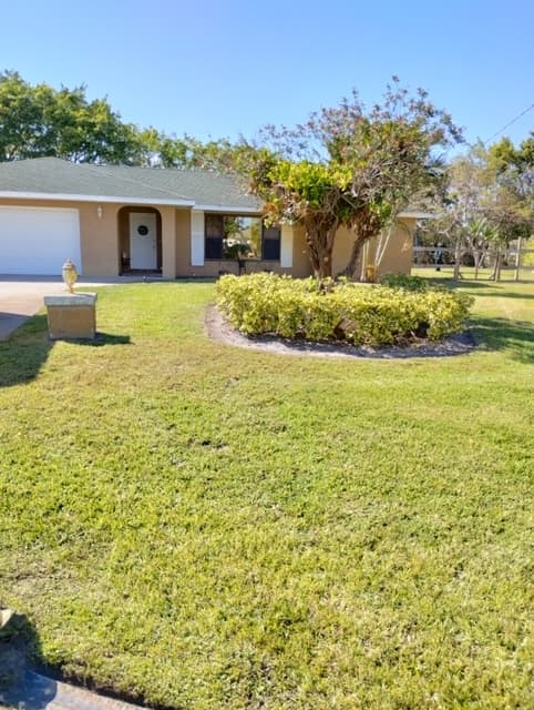 Landscaped front yard with fresh mulch ring around a tree and healthy lawn